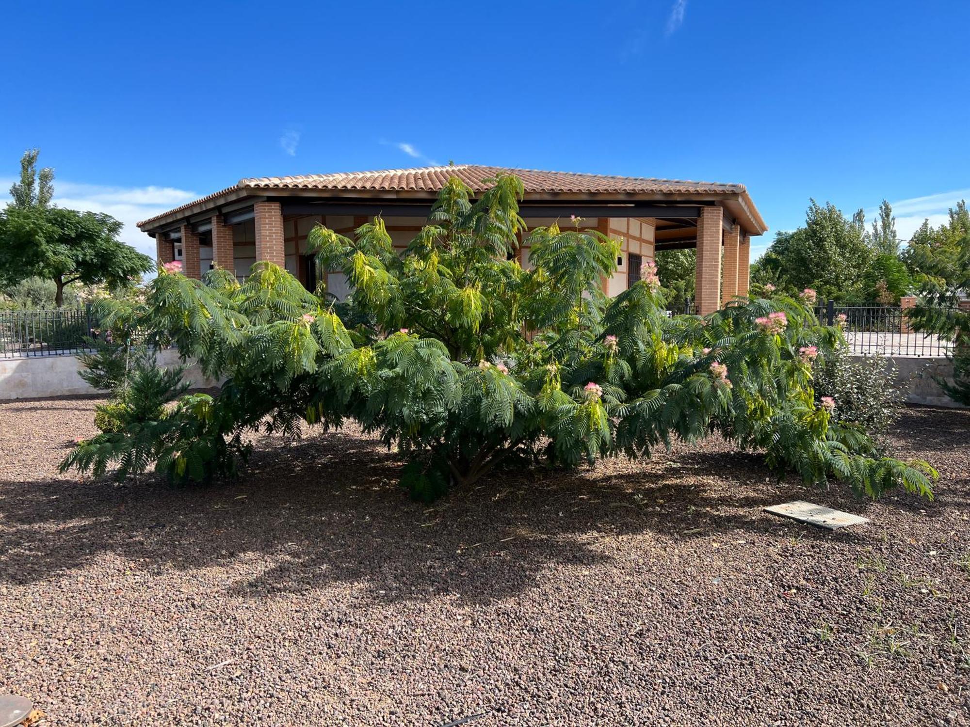Finca Alarcos Valverde  Exterior photo